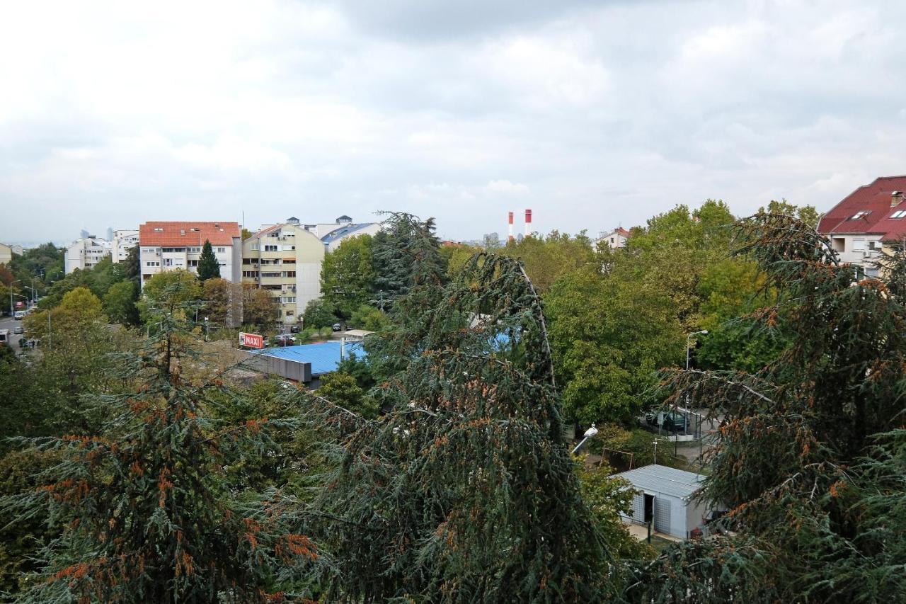 Big Blue Apartment - Belgrad Exteriör bild